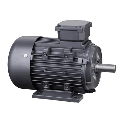 YE3 Premium Efficiency 1.5KW 2HP 3HP 4HP 5HP 7.5HP 10HP 50/60Hz 220/380/460V YE3-90L-4 Asynchronous AC Induction Motor