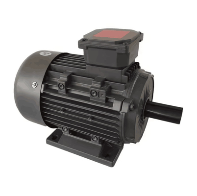 YE3 Premium Efficiency 1.5KW 2HP 3HP 4HP 5HP 7.5HP 10HP 50/60Hz 220/380/460V YE3-90L-4 Asynchronous AC Induction Motor