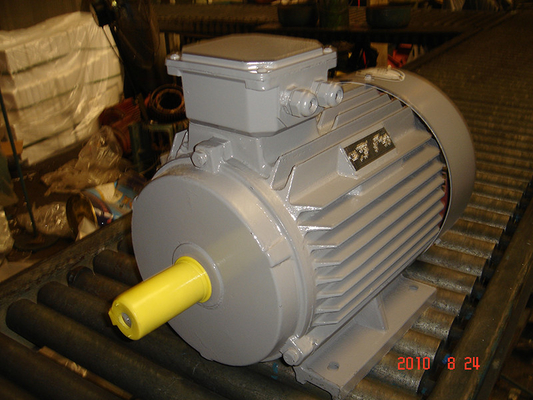 YE3-132M-4 Efficiency Three Phase Ac Electric Motor 220/380/460V 355mm Shaft Height 1120kg